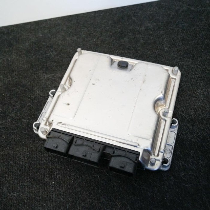 Unitate de control motor CITRO&Euml;N C8 EA_, EB_ 2003 OEM: 028101178096409381809657157080 | 2515558