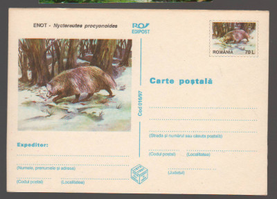 CPIB 20791 CARTE POSTALA - ENOT - NYCTEREUTES PROCYONOIDES foto