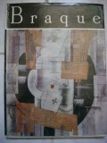 Braque-Irina Fortunescu