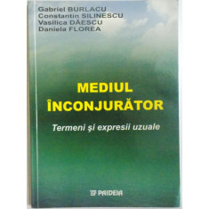 MEDIUL INCONJURATOR, TERMENI SI EXPRESII UZUALE de GABRIEL BURLACU ... DANIELA FLOREA , 2003