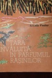 TARA INVALUITA IN PARFUMUL RASINILOR