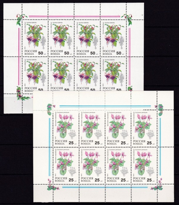 Rusia 1993 flori MI 298-299 kleib. MNH w57