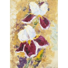 Mihai S&amp;acirc;rbulescu, Iriși (2010) foto