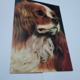 Cumpara ieftin CARTE POSTALA FELICITARE NECIRCULATA
