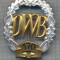 AX 228 INSIGNA -TURISM MONTAN - DRUMETIE - ,,DWB&quot; 170 -FRUMOASA
