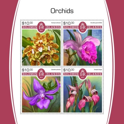 INSULELE SOLOMON 2017 - Orhidee / set complet MNH - bloc + colita (2 imagini) foto
