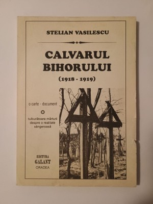 Stelian Vasilescu - Calvarul Bihorului 1918-1919 (o carte-document) foto