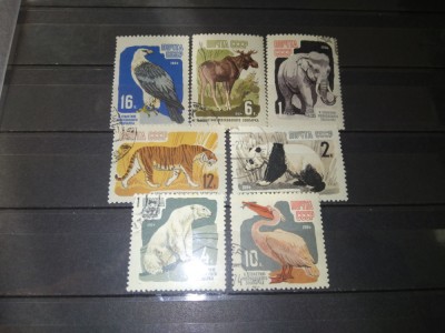 TIMBRE URSS ANIMALE 1964 foto
