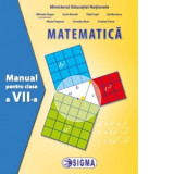 Matematica. Manual pentru clasa a VII-a