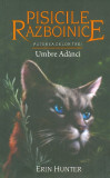 Pisicile razboinice (vol. 17): Puterea celor trei. Umbre adanci - All