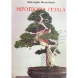 Gheorghe Bacalbasa - Hipotrofia fetala