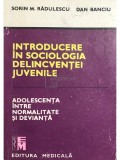 Sorin M. Radulescu - Introducere in sociologia delincventei juvenile (Editia: 1990)