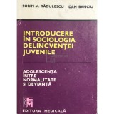 Sorin M. Radulescu - Introducere in sociologia delincventei juvenile (Editia: 1990)