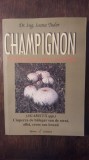 CHAMPIGNON, TEHNOLOGIA DE CULTURA- IOANA TUDOR