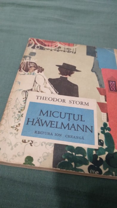 MICUTUL HAWELMANN-THEODOR STORM