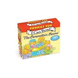 The Berenstain Bears Phonics Fun