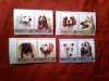 Serie Bequia Grenadines of St Vincent 1985 Fauna Caini 8 valori (4perechi), Nestampilat