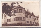 bnk cp Bazna - Sanatoriul balnear - necirculata - Libraria Noastra