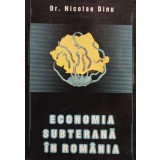 Nicolae Dinu - Economia subterana in Romania (Editia: 2002)