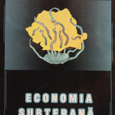 Nicolae Dinu - Economia subterana in Romania (2002)