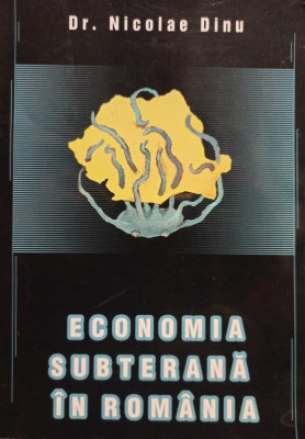 Nicolae Dinu - Economia subterana in Romania (2002) foto