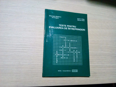 TESTE PENTRU EVALUAREA INTREPRINDERI - Gh. Badescu - 2002, 111 p. foto