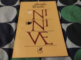 Ninive. Gheorghe Tomozei