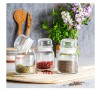 Set 3 Borcane Sticla 290ml cu Capac Etans, Transparent, Depozitare Condimente