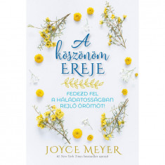 A köszönöm ereje - Fedezd fel a háládatosságban rejlő örömöt! - Joyce Meyer