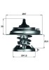 MAHLE TX 29 80D termostat,lichid racire