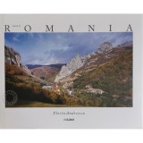 Made in Romania (Limba Spaniola) &ndash; Florin Andreescu