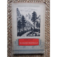 Calistrat Hogas - In Muntii Neamtului