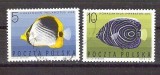 Poland 1967 Fishes, used G.052