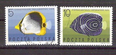 Poland 1967 Fishes, used G.052 foto