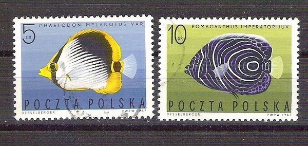 Poland 1967 Fishes, used G.052