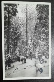 Carte postala, Predeal iarna, 1939