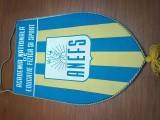 fanion matase Academia Nationala Educatie Fizica si Sport , ANEFS