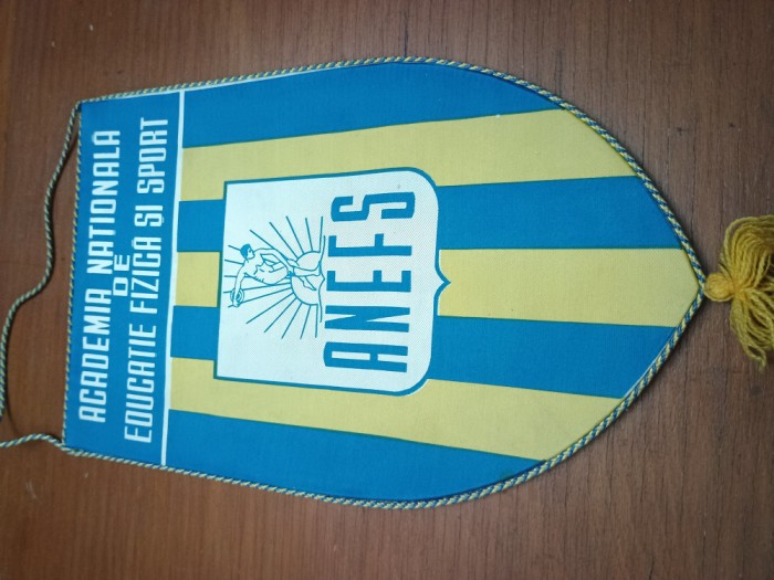 fanion matase Academia Nationala Educatie Fizica si Sport , ANEFS