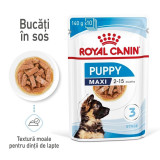 Cumpara ieftin Royal Canin Maxi Puppy hrana umeda caine junior (in sos), 10 x 140 g