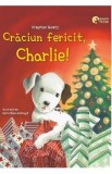 Craciun fericit, Charlie! Caruselul magic