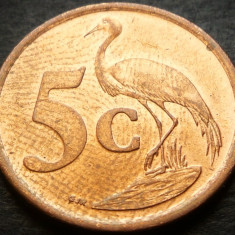 Moneda 5 CENTI - AFRICA de SUD, anul 2006 * cod 318 = AFRIKA BORWA - UNC