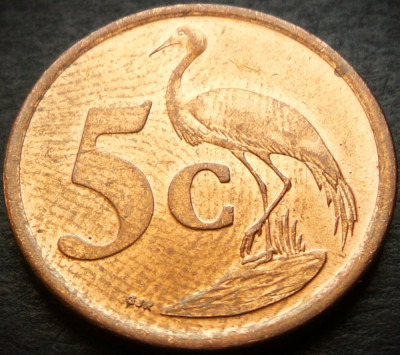 Moneda 5 CENTI - AFRICA de SUD, anul 2006 * cod 318 = AFRIKA BORWA - UNC foto
