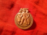 Insigna 1951 Al 3-lea Festival Mondial al Tineretului pt Pace de la Berlin , bronz h=3,1cm