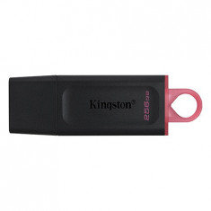 FLASH DRIVE 256GB DT USB 3.2 GEN1 KINGSTON EuroGoods Quality