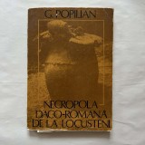 G. Popilian - Necropola Daco-Romana de la Locusteni - 1980