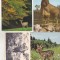 bnk cp Fauna - ierbivore - lot 20 carti postale *