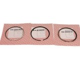 Mahle Set segmenti piston