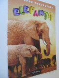 Pasi spre cunoastere - Elefantii