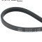 SKF VKMV 3SK751 Curea transmisie cu caneluri