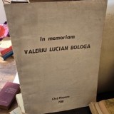 In memoriam Valeriu Lucian Bologa